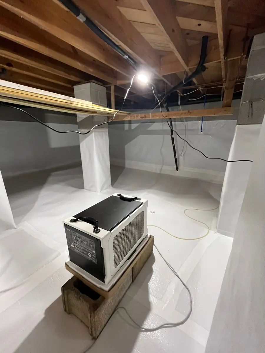 Do Basement Dehumidifiers Really Help Protect Your Atlanta Home?