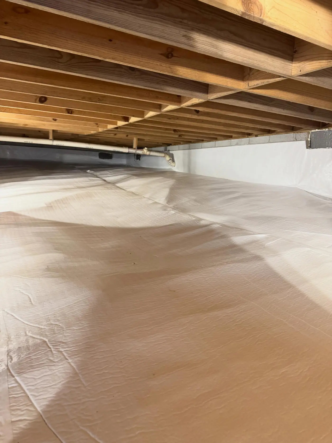 Mold Treatment project by PPS Waterproofing